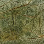 rain-forest-green-500x500